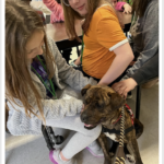 Belvedere Elementary students enjoy the company of adoptable dog Whitney.