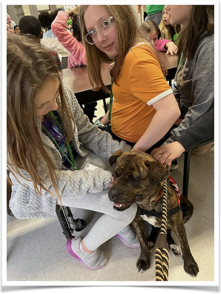 Belvedere Elementary students enjoy the company of adoptable dog Whitney.