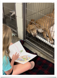 Sweet Retriever mix Marigold enjoys hearing a story read by a Gloverville Elementary student.