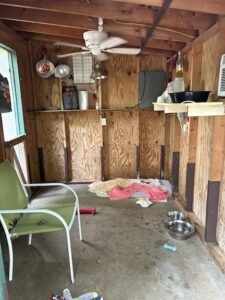 Foster puppy shed