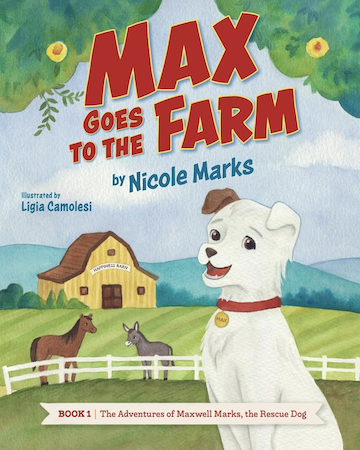 Book can be purchased via Amazon.