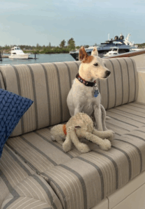 Max Marks enjoying the wind in his hair