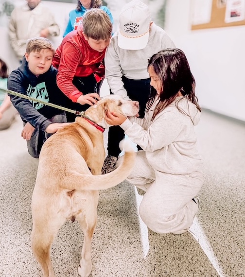 Adoptable Madeline, Hands On Time at Dog Ears
