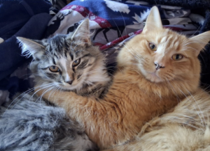 Holly and her BFF brother, Toby