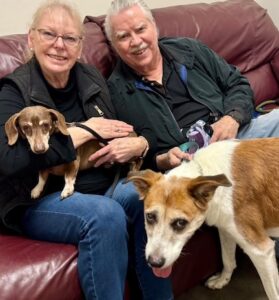 Bailey and Morgan, a senior bonded pair, get adopted!