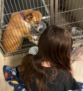 Gloverville student reads to a shelter dog.