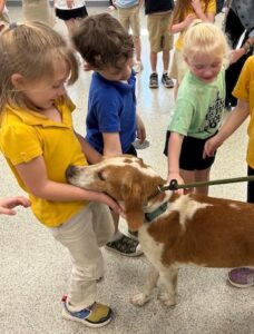 Horse Creek visits the shelter
