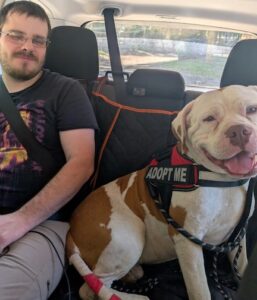 Thomas on his Doggie Day Out