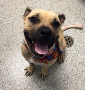 Eddie with a big smile!